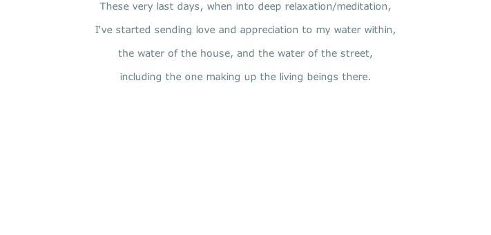 These very last days, when into deep relaxation/meditation,   I've started sending love and appreciation to my water within,  the water of the house, and the water of the street,  including the one making up the living beings there.